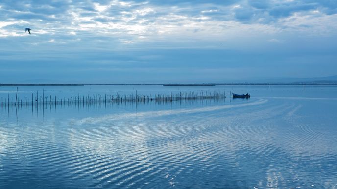 Rýžová pole u španělské Valencie: V okolí jezera Albufera si můžete připadat, že jste se ocitli v Číně