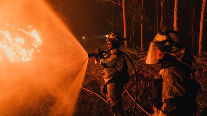 Loni Evropa zažila velmi ničivé léto, kdy lesní požáry sužovaly zejména Pyrenejský poloostrov. Loni Evropa zažila velmi ničivé léto, kdy lesní požáry sužovaly zejména Pyrenejský poloostrov.