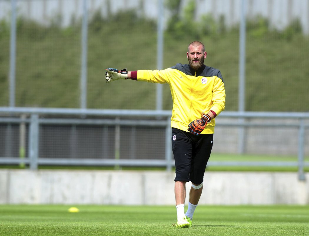 David Bičík si v nové sezoně zkusí vzít zpět post brankářské jedničky