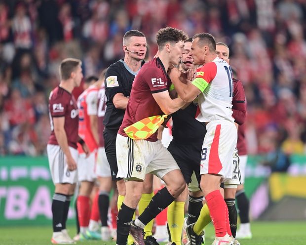 Bořil se následně pustil do Krejčího, který si to nenechal líbit Bořil se následně pustil do Krejčího, který si to nenechal líbit