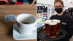 Návod, jak si zajít na pivo od 17. května: Jaký mít test, jak dlouho vydrží a další novinky