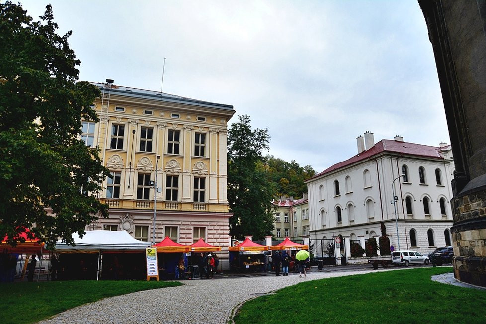 Street Happening of Karlín