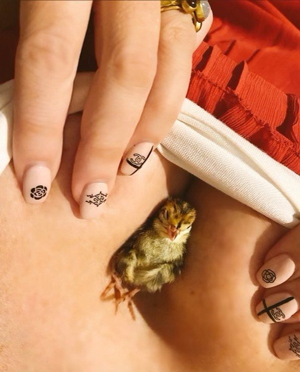 Tori Spelling využívá svůj dekolt jako ptačí inkubátor