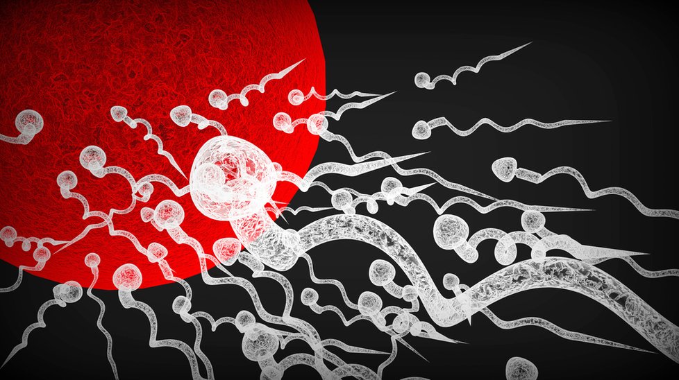 Otázku posmrtného využití spermatu pro umělé oplodnění řeší evropské země odlišným způsobem.