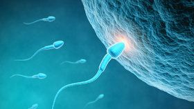Máte už dost hormonální antikoncepce? Pilulka pro muže sebere spermiím „ocásek“