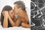 Na kvalitu spermií má podle vědců vliv i doba uložení ke spánku