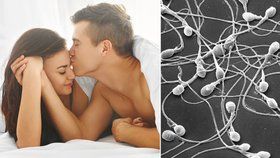 Lepší kvalitu spermií mají muži, kteří chodí spát dříve, tvrdí vědci