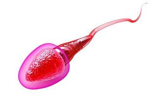 Proč polykat sperma: 4 fakta, díky kterým budete mít jasno