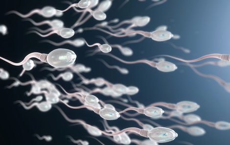 Spermie odporují pohybovému zákonu.