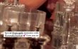 Ex-členky Spice Girls znovu pohromadě Ex-členky Spice Girls znovu pohromadě