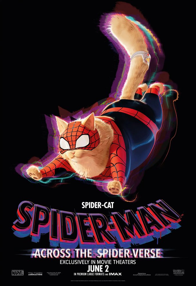 Spider-Cat