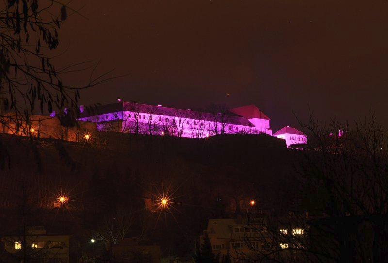 Hrad Špilberk v Brně se obarví na purpur v pátek 16. listopadu od 17 hodin. Připomene tak Mezinárodní den nedonošených dětí.