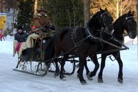 Ve Špindlu se splašili koně: Nabourali auto a zranili šest lidí!