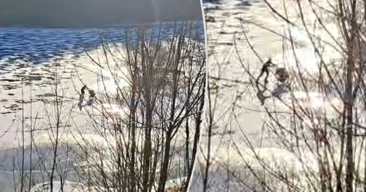 Apuesta al huso: ¡la mujer del cochecito patinaba sobre hielo fino!