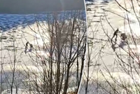 Hazard ve Špindlu: Žena s kočárkem bruslila na tenkém ledě!