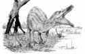 Nový obří spinosaurid mohl vypadat podobně jako jiný evropský zástupce této skupiny - Baryonyx