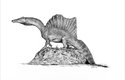 Spinosauři byli s délkou až kolem 15 metrů nejdelšími známými dravými dinosaury