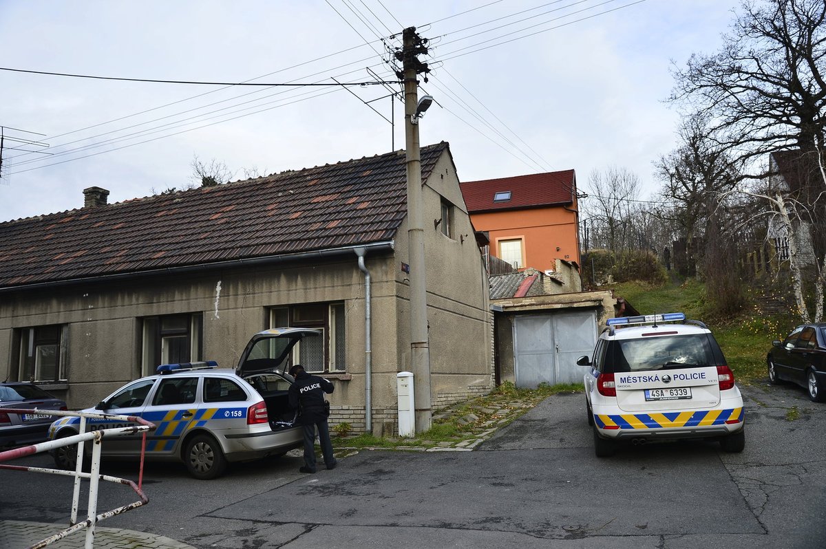 Spisovateli z Kladna řádilo prase na půdě: Spadlo ze střechy, zastřelit ho musel myslivec