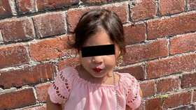 Paťku (†24) a její dcerku Aishu (†4) srazilo při přecházení silnice auto.