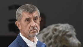 Předseda ANO Andrej Babiš (vpravo) dorazil 25. července v Praze do Poslanecké sněmovny na schůzi vyšetřovací komise k únikům informací z vyšetřovacích spisů.