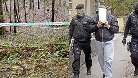 V lese našli mrtvolu Stanislava zakrytou větvemi: Vrah se přiznal po pár hodinách