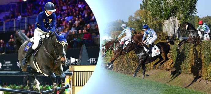 Jak si vedle sebe stojí dva svátky koní, parkurové Prague Playoffs a legendární dostih Velká pardubická?