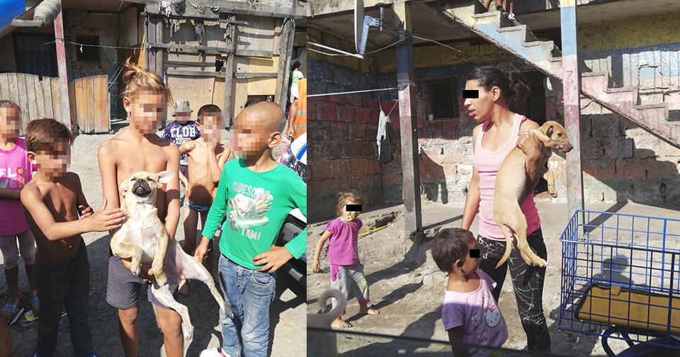 Romské děti se na Slovensku baví krutou a zvrácenou zábavou. V osadě týrají, zapalují a zabíjejí psy