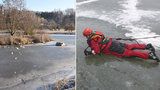 Hasiči v Sokolově zachraňovali chlapce (10) ze zamrzlého rybníka. Jeden z nich sám skončil pod ledem!
