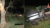 Řidič (†37) na Strakonicku narazil do stromu, našli ho mrtvého desítky metrů od vozu
