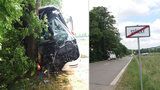 Nehoda autobusu na Kroměřížsku má 9 zraněných! Šofér narazil do stromu