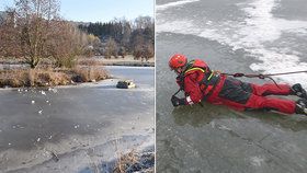 Hasiči v Sokolově zachraňovali chlapce (10) ze zamrzlého rybníka. Jeden z nich sám skončil pod ledem!