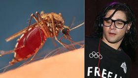 Vědci znovu šokují. Proti komárům nejlépe účinkuje Dubstep. A především DJ Skrillex