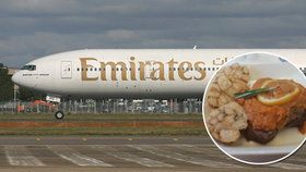 Je libo svíčkovou? Aerolinky Emirates lákají Čechy na jejich pochoutku, některým se moc nezdá