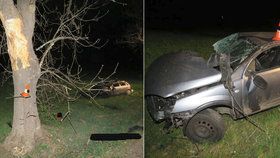 Smrt na Strakonicku: Řidič nezvládl řízení, ležel desítky metrů od auta