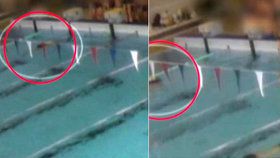 Hrůza v královéhradeckém bazénu: Žena se topila, lidé dál plavali kolem ní