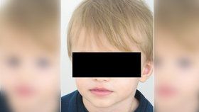 Malý Vratislav (2,5) se vrátil k mamince: Policie odvolala pátrání