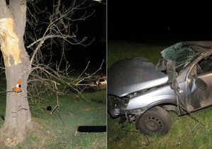 Smrt na Strakonicku: Řidič nezvládl řízení, ležel desítky metrů od auta