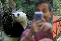 Smrtící selfie: Kvůli perfektním fotkám zemřely už stovky lidí!