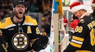 Medvědi na vánočních nákupech: Pasta Klaus za 420 tisíc Medvědi na vánočních nákupech: Pasta Klaus za 420 tisíc