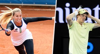 Cibulkovou vytočilo rozhodnutí o Sinnerovi: Je to hanba a výsměch! Cibulkovou vytočilo rozhodnutí o Sinnerovi: Je to hanba a výsměch!