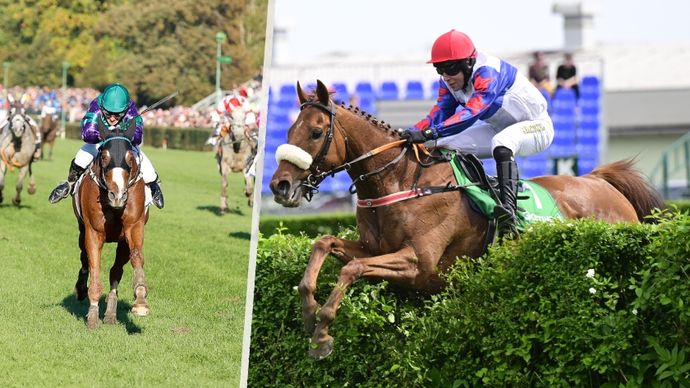 Favoriti Velké pardubické 2025