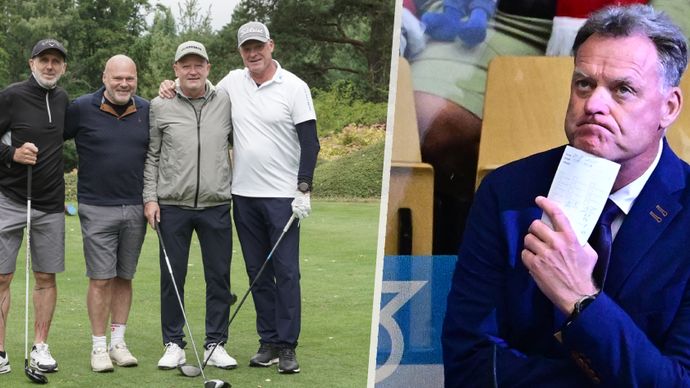 Rulík na golfu