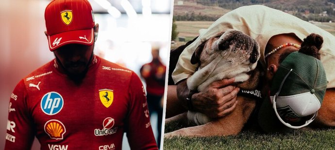 Zlomený Lewis Hamilton: Hračky po Roscoevi jsou stále všude!
