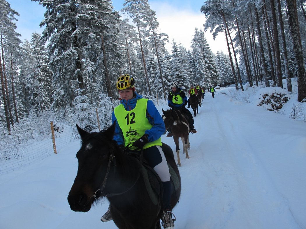 Zimní Mistrovství Evropy v Adventure race