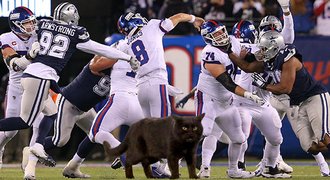 Černá kočka doběhla pro touchdown: Giants přinesla smůlu