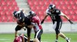 V poločase vedli Prague Black Panthers 31:0