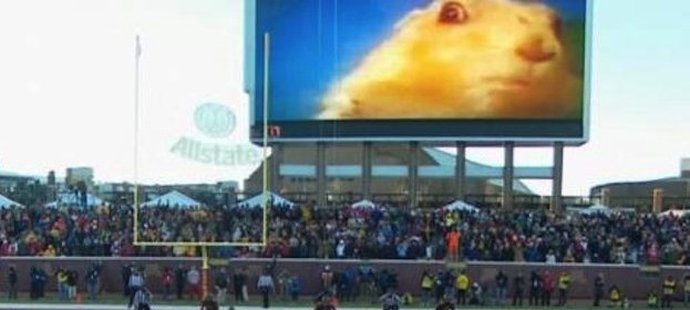 Sysel na velkoplošné obrazovce při zápase amerického fotbalu