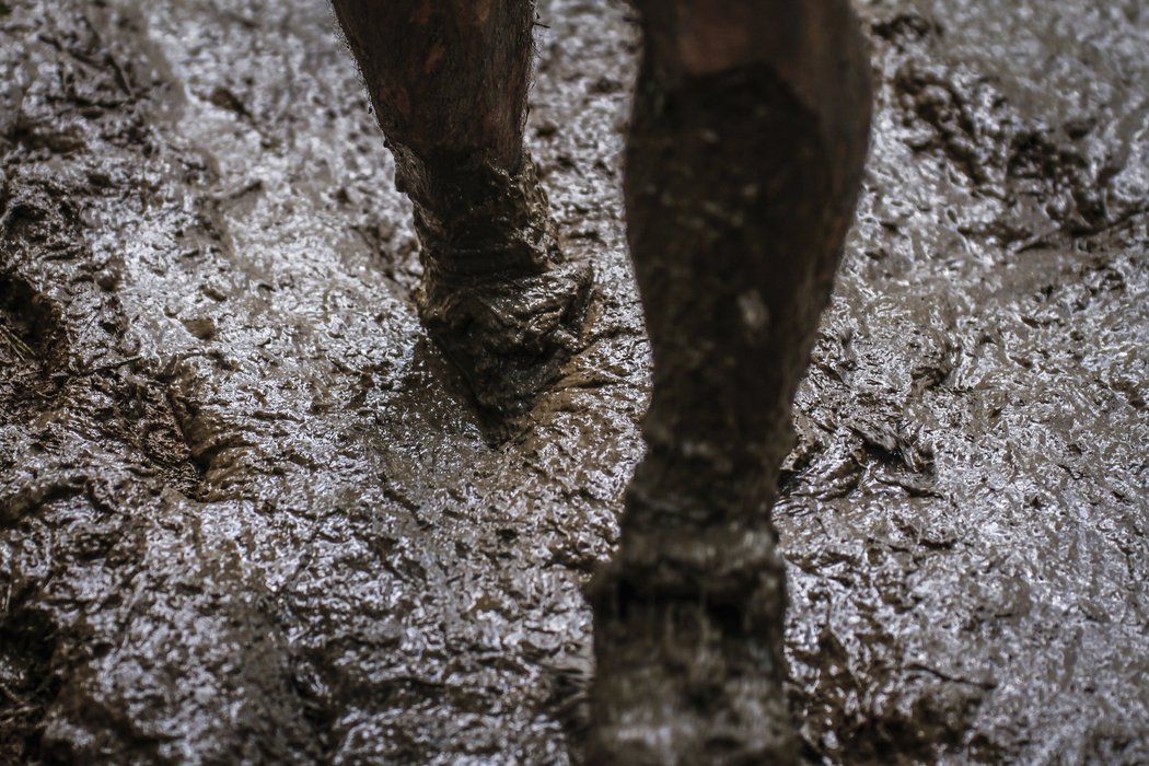 Ve Vyškově se běžel Army Run