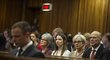 Aimee Pistoriusová (třetí zprava) se dívá na svého obžalovaného bratra Oscara