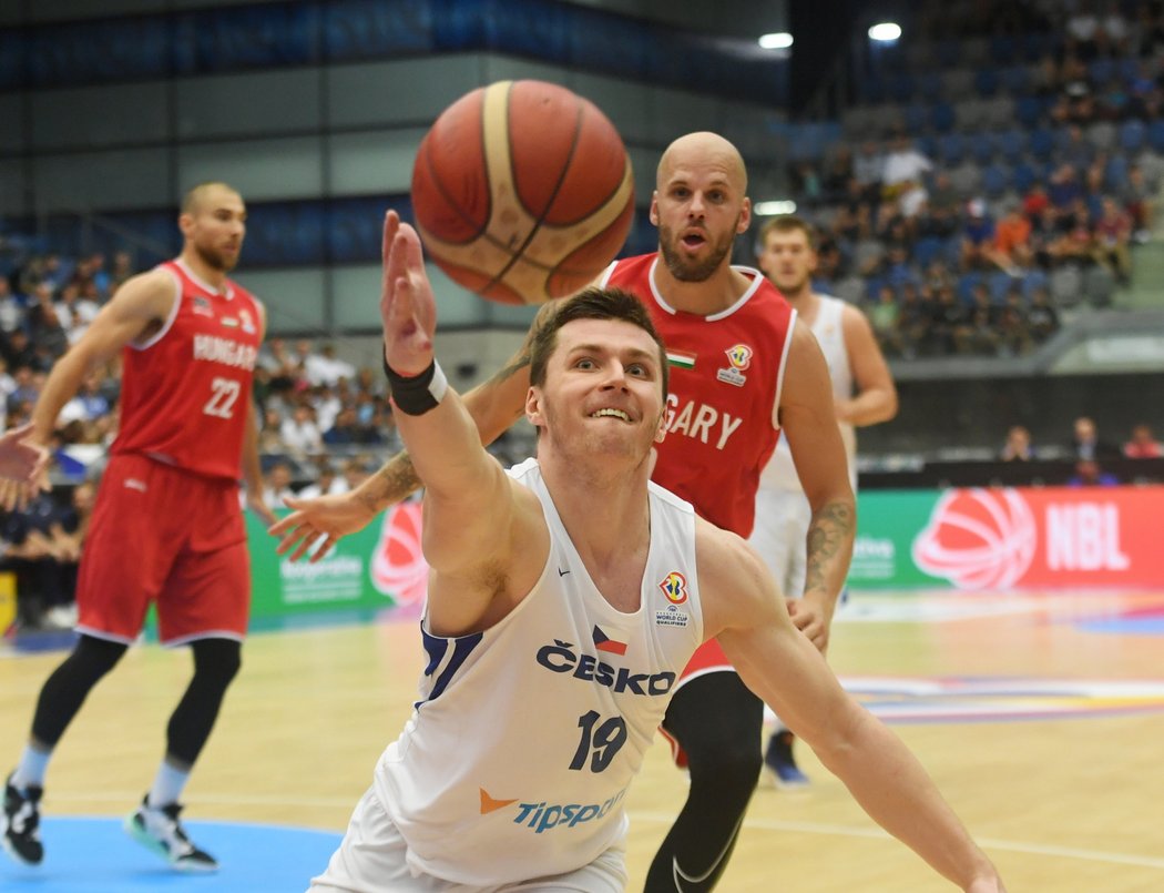 Čeští basketbalisté podlehli v Chomutově Maďarsku